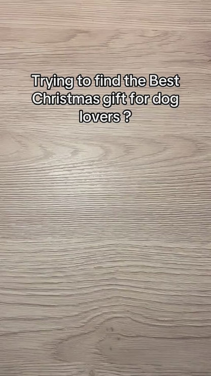 Pet Treat Launcher
