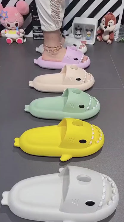 Shark Slides