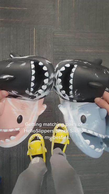 Shark Slides