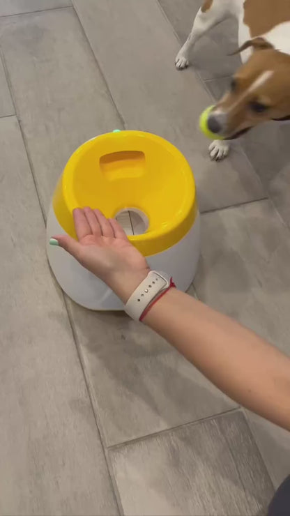 Ball Launcher